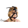 Avalon - TRAPPED - Hodeharness i lær med gag