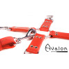 Avalon - SACRED - Hog-tie-sett med 5 deler - Rød