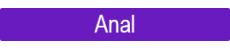 Anale Leker