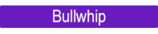 Bullwhip