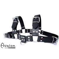 Avalon - BLAZON - Harness Svart