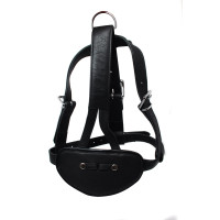 Avalon - BEHAVE - Hodeharness i Lær med Gag