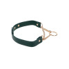 Sex and Mischief - Grønn Collar med Gulldetaljer Sex and Mischief - Grønn Collar med Gulldetaljer