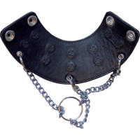 Parachute med Nagler på Innsiden