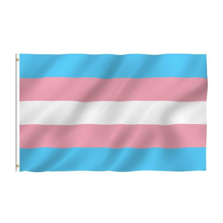 Trans Pride Flagg 90cm x 150cm