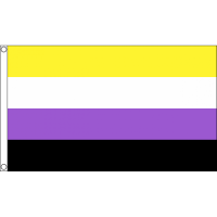 Non-Binary Pride Flagg 90cm x 150cm